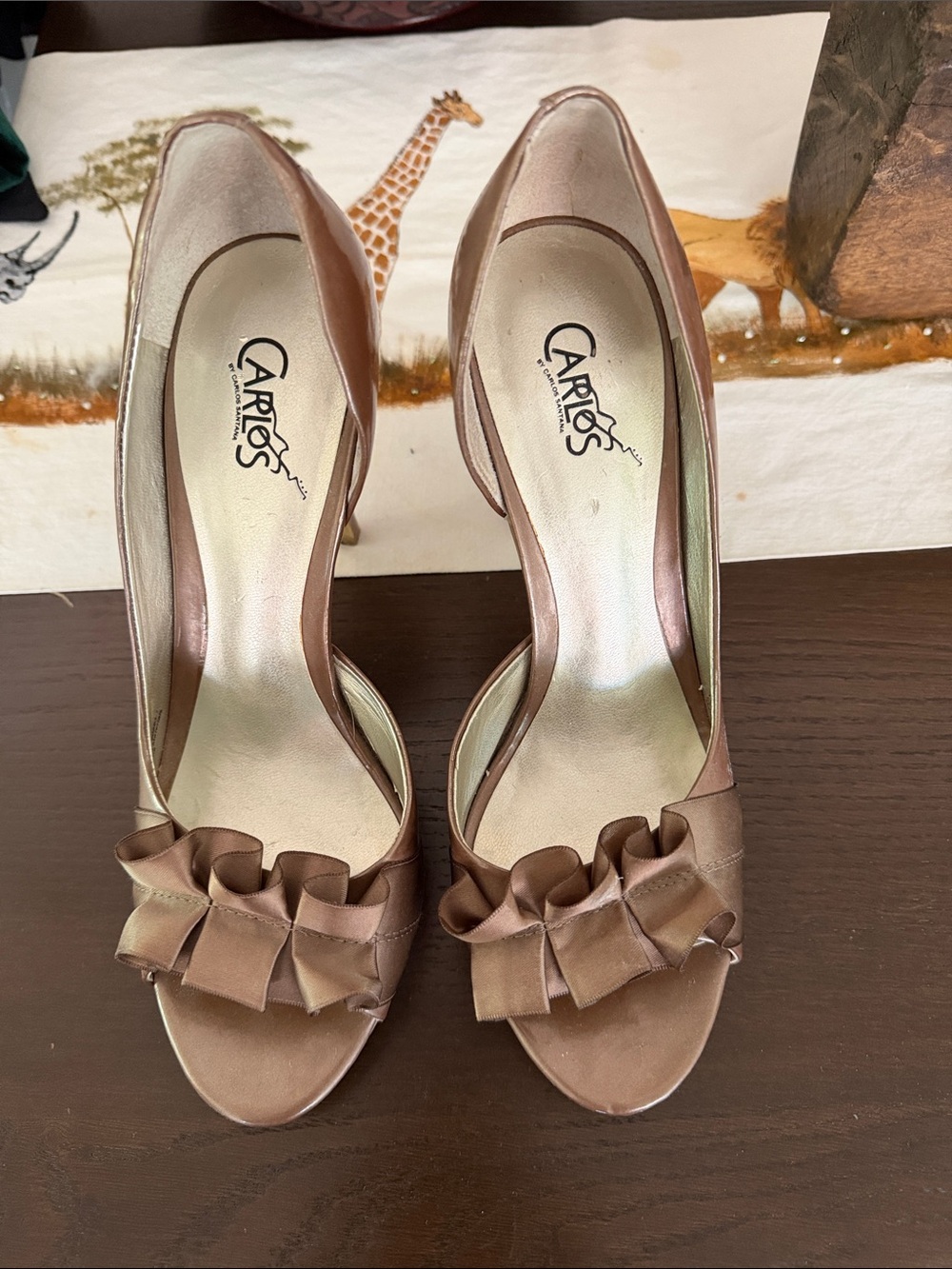 “CARLIS SANTANA” Gorgeous Sexy Shoes